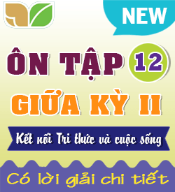 Ôn tập Giữa kỳ II (KNTT_HH12_B1)